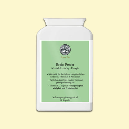 Brain Power – vegane Nahrungsergänzung mit 24 Inhaltsstoffen zur Unterstützung der mentalen Leistung
