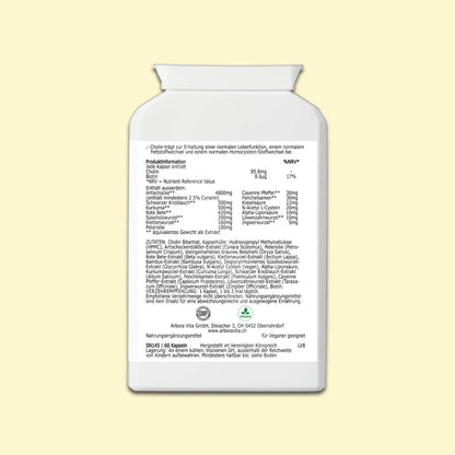 Zutaten der pflanzlichen Leber-Kapseln Liver Vitality mit Cholin, Bitterstoffen und Kräuterextrakten